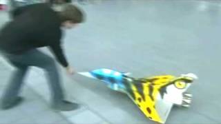 Rafale EDP TV indoor rc jet