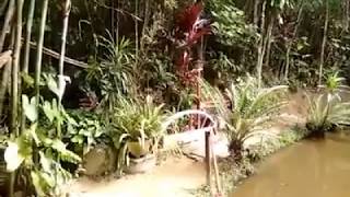 Chácara com lagos a venda em Guararema