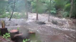 Irene in Woodford vermont.