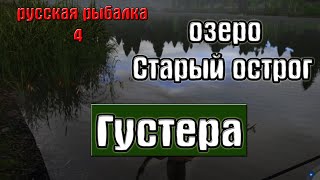 Русская рыбалка 4(рр4) - озеро Старый острог. Густера.