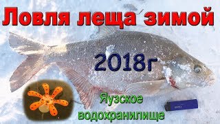 Ловля леща зимой на Яузском водохранилище. База Пудыши