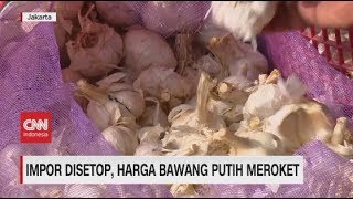 Imbas Corona & Impor Disetop, Harga Bawang Putih Meroket