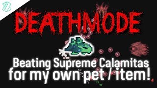 Beating Deathmode Supreme Calamitas for my own pet / item! (Terraria modded 1.3.5)