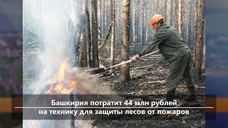 UTV. Новости севера Башкирии за 1 июля (Бирск, Мишкино, Бураево)