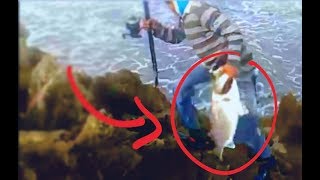 comment pêcher les plus gros Bars en hiver - montage et appât