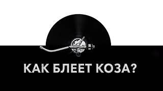 Как блеет коза? ? Звук блеющей козы и какие звуки издает коза