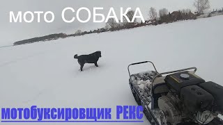 Мотобуксировщик РЕКС.Мокрый снег.засадил