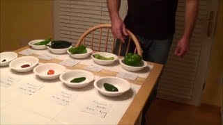 Dad eats Moruga Scorpion & Ghost peppers +8 more : The 10 Hot Pepper Challenge, Crude Brothers