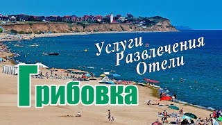 Грибовка 2019. Отдых в Грибовке Одесской области. Развлечения Услуги Базы отдыха.