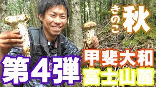 【甲斐大和・富士山麓】キノコ狩り　秋きのこ