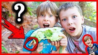 SKULL FOUND WITH ABANDONED TREASURE!