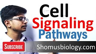Cell signaling pathway