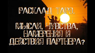 Расклад Таро. Мысли, чувства, намерения и действия партнера