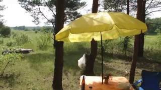 Теардроп выезд 2 часть 2 Tear Drop