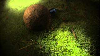 Reklama piwa Żubr - Na szczęście jest Żubr [Żubr official] 2010