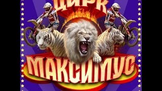 Цирк Максимус в Анапе