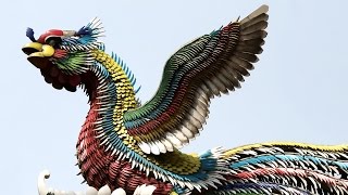 Phoenix | King of birds (Hello China #25)