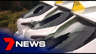 Teenage girl arrested over vandal attack on government cars | Adelaide | 7NEWS