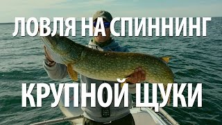 ЛЕТНЯЯ РЫБАЛКА в БЕЛОРУСИ на БРАСЛАВСКИХ ОЗЕРАХ. ЛОВЛЯ ЩУКИ на ДЖЕРК