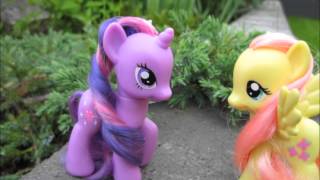Twilight meets Fluttershy - Stopmotion