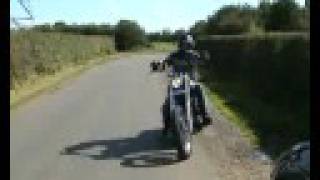 Harley Davidson Metal Damage