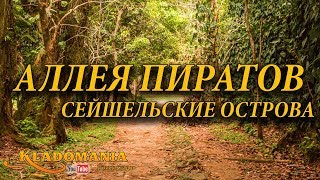 АЛЛЕЯ ПИРАТОВ. Сейшельские острова. Сокровища пиратов на острове Маэ ✈