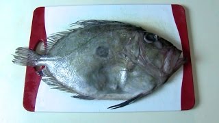 How to fillet a John Dory. Fish filleting. Разделка рыбы. Мастер-класс по разделке Джон Дори.