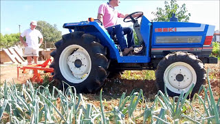 Πατατοεξαγωγέας σε τρακτέρ | www.trakterakia.gr
