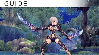 [Guide] Aura Kingdom - How to Play Duelist with SPD/EVA Build (Outdated)