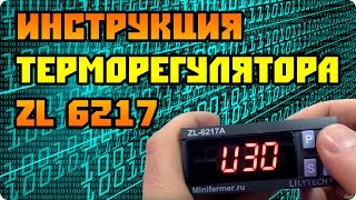 Обзор ПИД-терморегулятора для инкубатора Lilytech ZL-6217