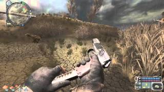 S.T.A.L.K.E.R. - ЗОЛОТОЙ ОБОЗ - Прохождение 1 часть [ Прогулка на легке ]