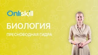 Биология 7 класс : Пресноводная гидра