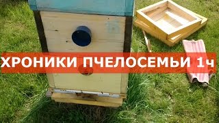 ВСЕ РАБОТЫ С ПЧЕЛОСЕМЬЕЙ В ТЕЧЕНИЕ СЕЗОНА 1 часть-ПЧЕЛОВОДСТВО 2016