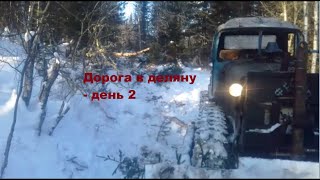 день сурка и золотой лес