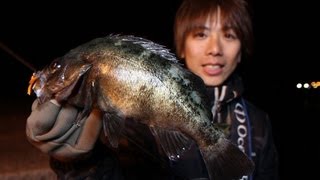りんたこ流・ＭＴフォールメバル編