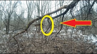 МЫ ОБОМЛЕЛИ КОГДА ЗАШЛИ В ЭТОТ ЛЕС!!!