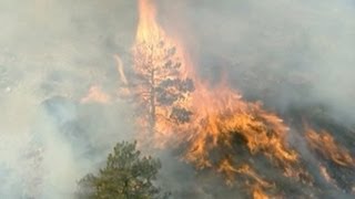 Wildfire rages in Colorado