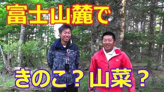 【富士山麓】キノコ狩り?　山菜採り?