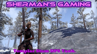 Templar Stam DPS Tank.