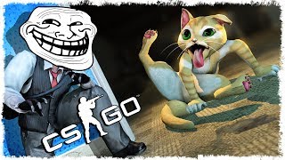 ХОТЕЛ ЕГО ПОГЛАДИТЬ, А ОН... КОТ МАНЬЯК В CS:GO!!!
