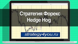 Стратегия форекс Hedge Hog