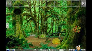 G2R Girl Rescue From Forest Castle Walkthrough [Games2Rule]