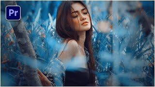 How To Use Luts Presets In Adobe Premiere Pro Cc 2018 - And Free Download