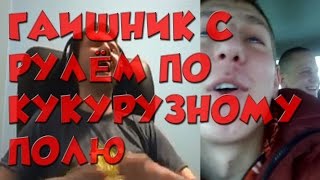 EvilArthas(Папич): АНЕКДОТ ПРО ГАИШНИКА С РУЛЁМ И КУКУРУЗНОЕ ПОЛЕ