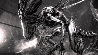 Убили Королеву Чужих... Финал Морпеха ► Aliens versus Predator 2 Прохождение Часть 6