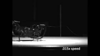 The Harvard Ambulatory MicroRobot (HAMR)