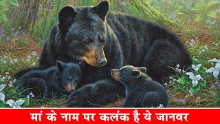 भगवान ऐसी मां किसी भी जानवर को ना दे| The 5 Worst Moms in the Animal Kingdom| Worst Mothers