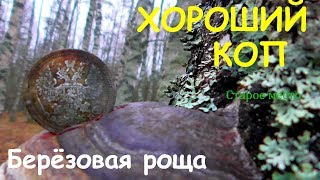 Хорошо покопали в берёзовой роще.Серебро