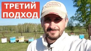 деление пчелосемей в многокорпусном улье / укладываю разделительные решетки