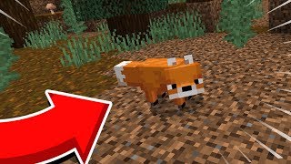 How To Spawn Foxes In Minecraft Pocket Edition!